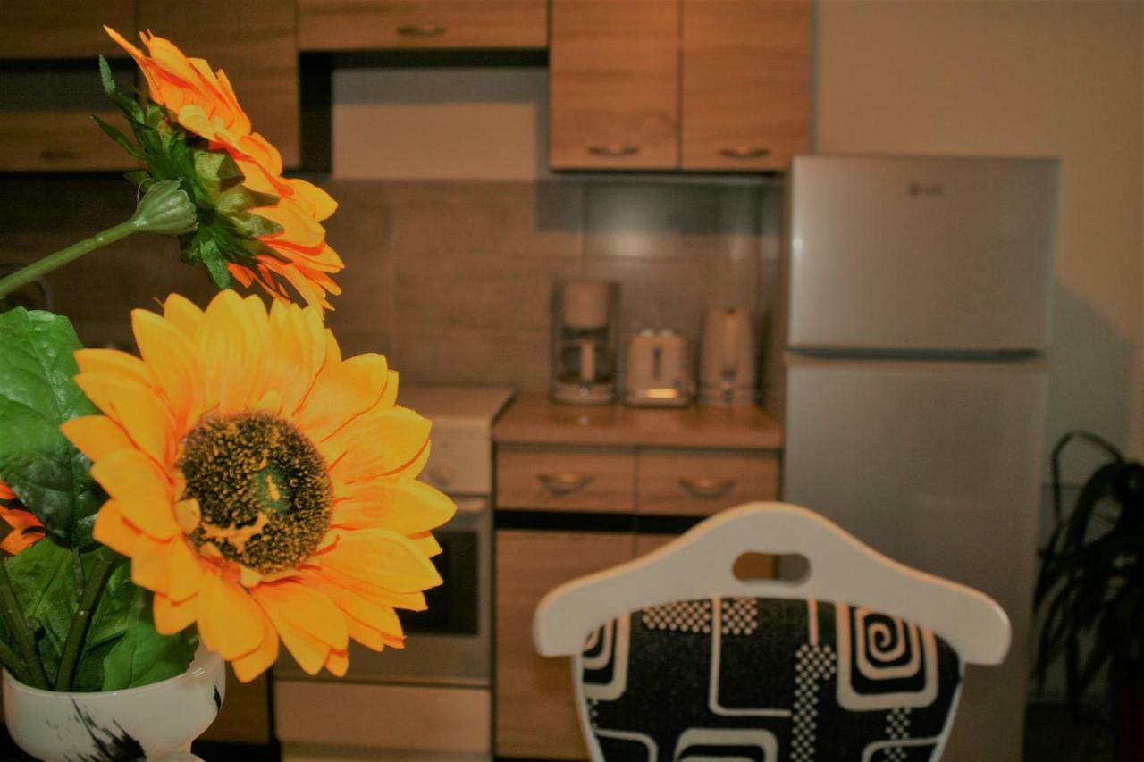 Casa Peterfi - Apartment With 3 Bedrooms And Spacious Living Room Târgu-Mureş Esterno foto